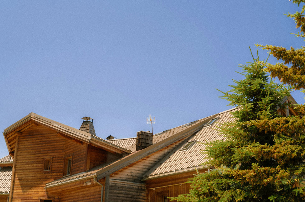 Chimney Maintenance in Summer: 7 Things NZ Homeowners Don’t Realise