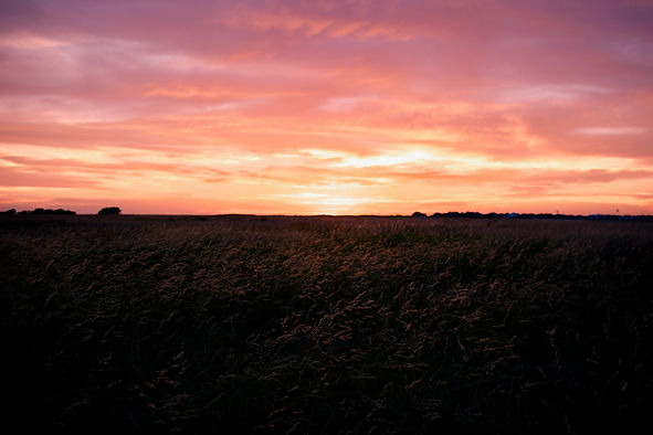 Image by Tim Arterbury