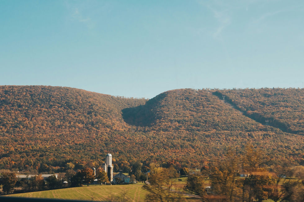 Blue Ridge Mountains Farm
