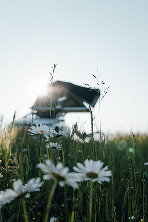 Image by Jorgen Hendriksen