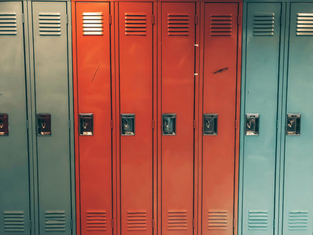 Middle School: Tales of an 8th Grader