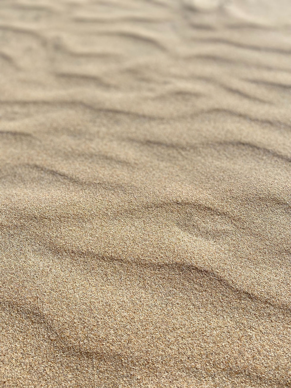 Image by Mariko Akagi