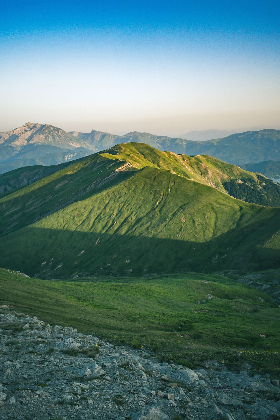 Image by Daniele Franchi