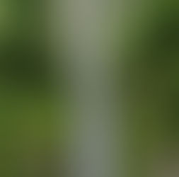 blocages émotionnels et apaisement intérieur paysage naturel