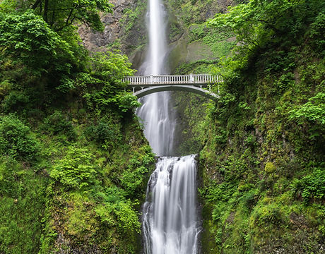 Image by Blake Verdoorn