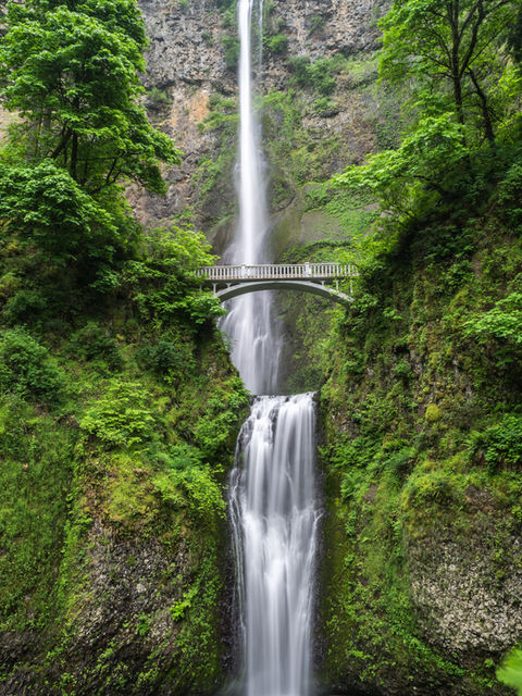América del sur: Compensaciones de carbono
