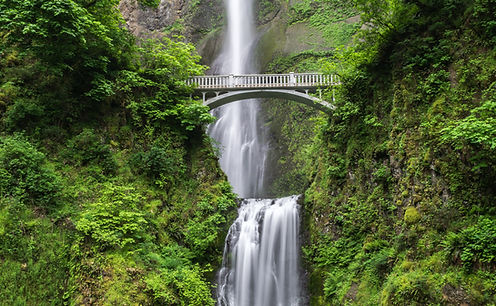Image by Blake Verdoorn
