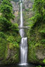 Healing from Mother Nature