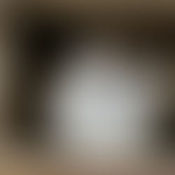 Cardboard Kingdom: Why Cats + Boxes = Endless Fun