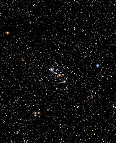 Image by Steve Busch