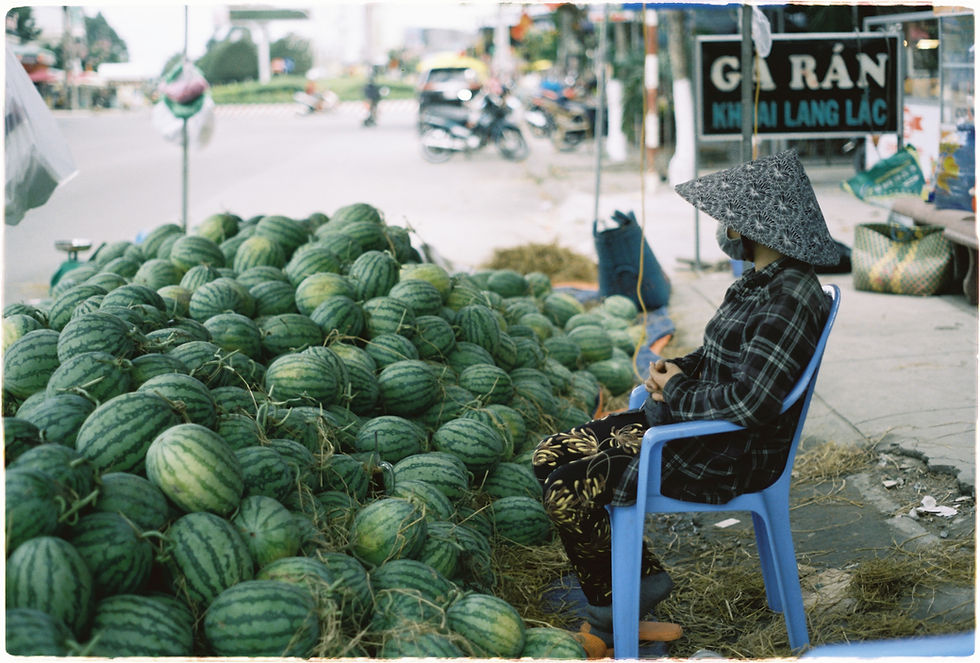 watermelon farmer selling melons roadside