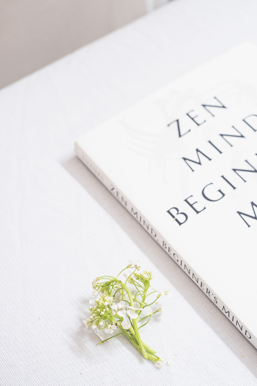 A dreamy photo of a zen book on a table