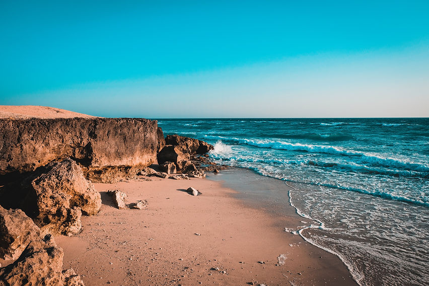 Image by Sam Moqadam