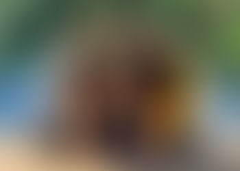 Connected Parenting with Teens