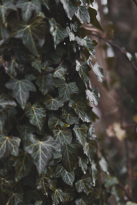 Image by Benjamin Huggett