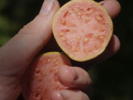 How Much Vitamin C Does Your Body Really Need?