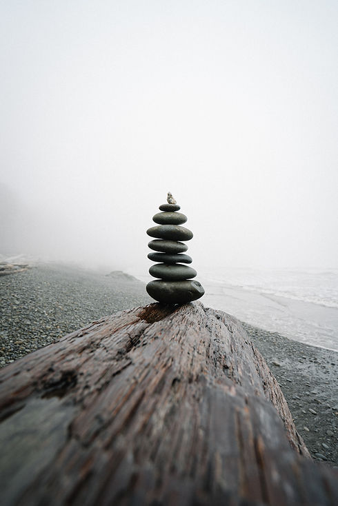 Image by Karsten Winegeart