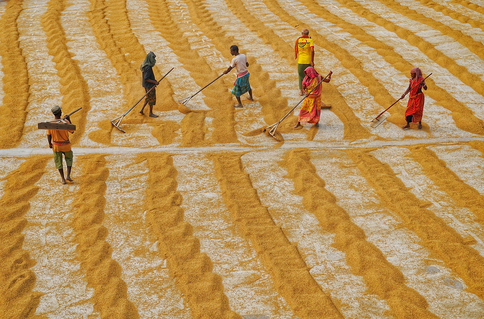 Rice Mill