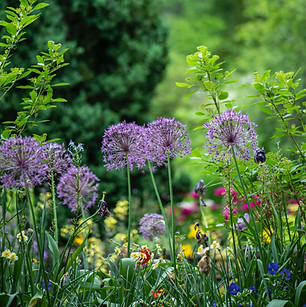 Création et aménagement d'extérieur, conception de jardins, de pose de terrasses, la plantation d'arbrer et de plantes Topo & Co Alsace France