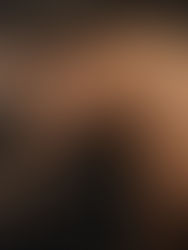 Descubren una nueva especie de pangolín en China, la novena de este mamífero vulnerable