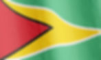 Guyana Tenders & Contracts Search Engine | TendersGo (AI-Powered)