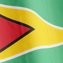 Guyana Contract Awards & Tender Archive | TendersGo Intelligence