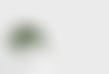 Health Is the Ultimate Wealth (And We Forget Until It’s Gone)