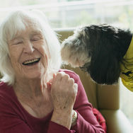 Fundación Affinity and the careful case for animal-assisted therapy