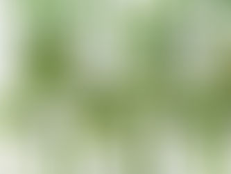 Curved green bamboo stalks with lush leaves against a white background, showcasing intricate patterns and vibrant, natural textures.