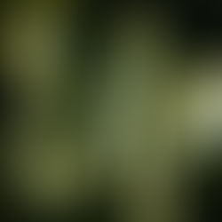 5 Questions Leaders Should Ask to Solve Growth Problems