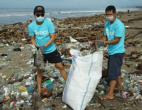 Image by OCG Saving The Ocean