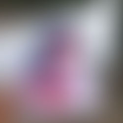 The Role of Marketing in the 2024 Election Campaigns: Strategy, Messaging, and Memes