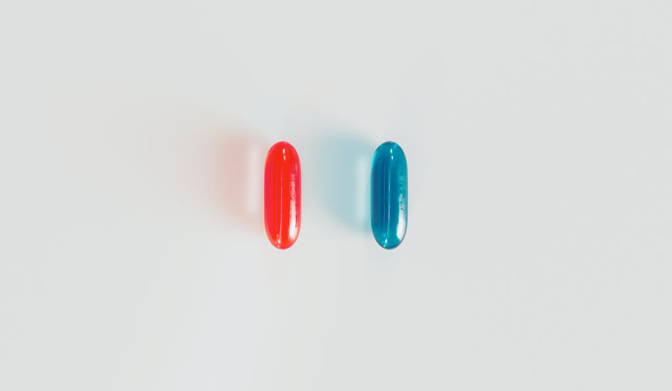 Image by Patrick Schneider