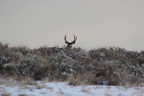 Image by 2 Bull Photography