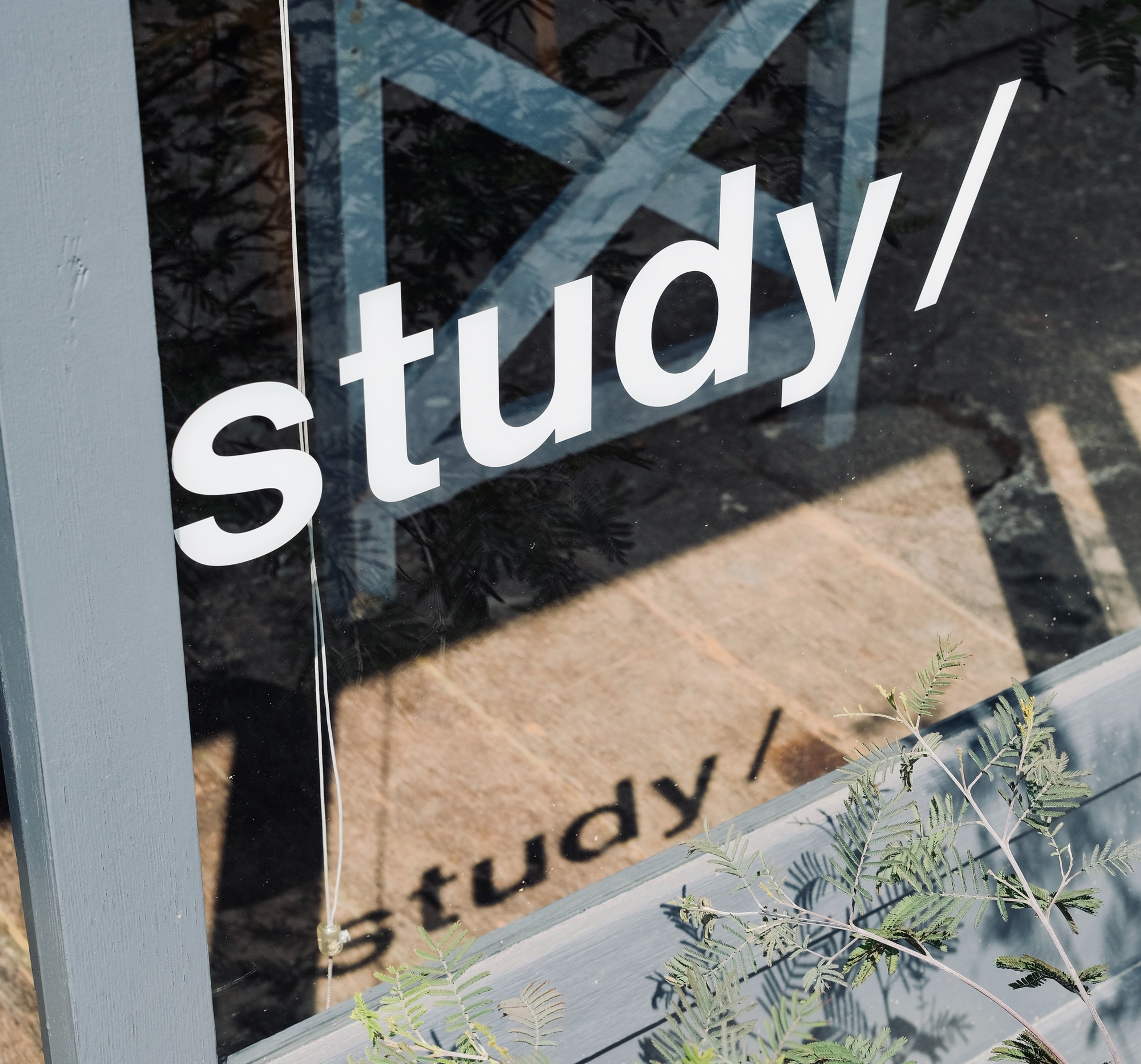Window with white study text and chair graphic, reflected tree leaves, and sunlit greenery outside, calm and quiet scene