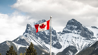 Image by Igor Kyryliuk & Tetiana Kravchenko