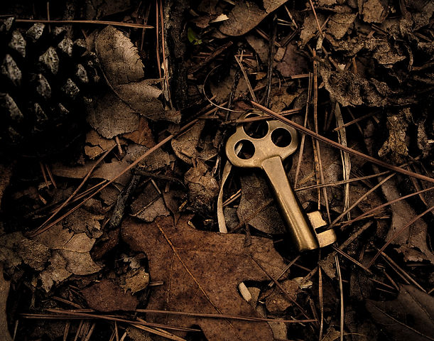 Image by Michael Dziedzic