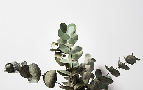 Image by Oscar Helgstrand