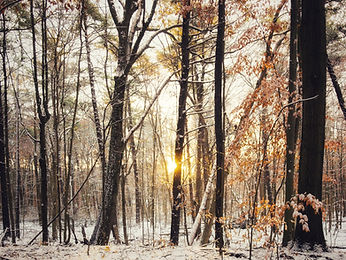 Image by Michael Krahn