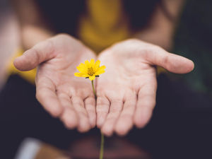 Reiki Near Me, Or What You’re Really Searching For