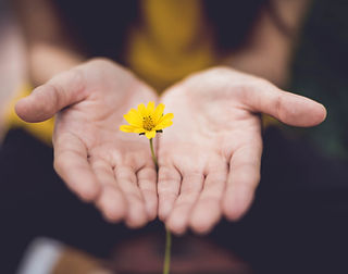 Image by Lina Trochez
