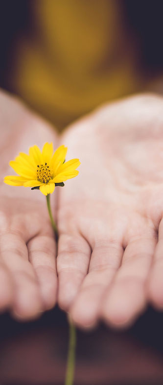 Image de Lina Trochez - mains ouvertes accueil fleur