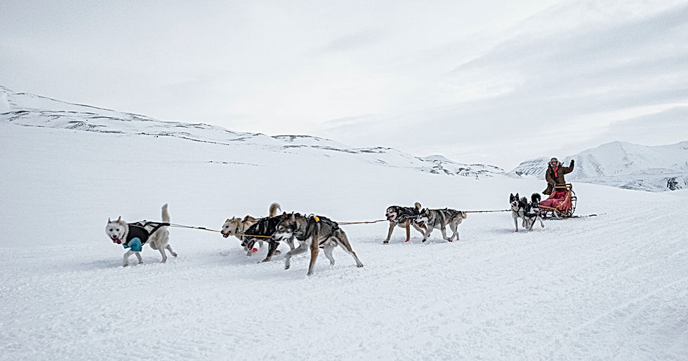 Image by Fredrik Solli Wandem