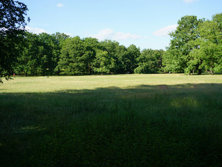 Thousands of playing fields may be lost if Sport England is stripped of its planning role.