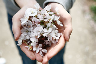 Image by Chungkuk Bae