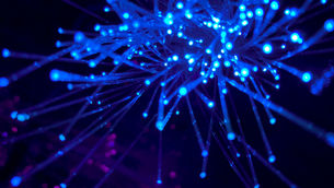 La Guinée et le Mali interconnectent leurs réseaux de fibre optique