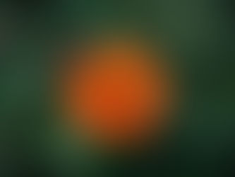 Soal SAS ASAS PSAS IPS SMP Kelas 8 Semester 1 Tahun 2025