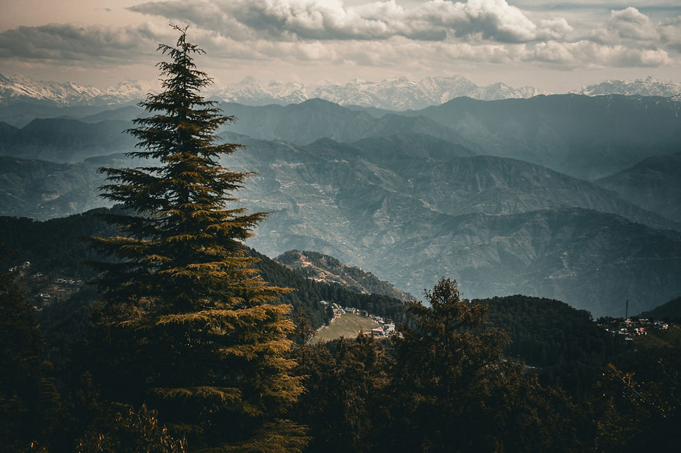 North Indi Hill Station - Dalhousie