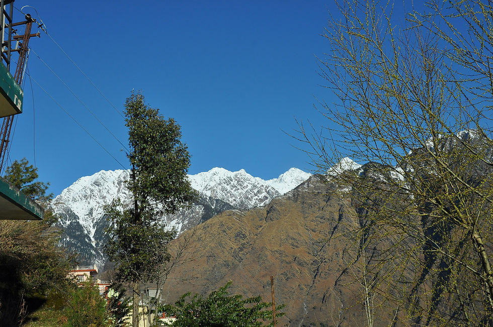 A picture of Kuari Pass trek in winter.