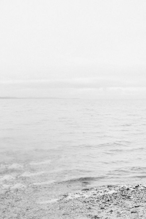 Image by Annie Spratt
